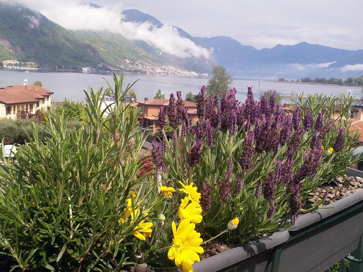 Lake View Terrace Paratico Zewnętrze zdjęcie
