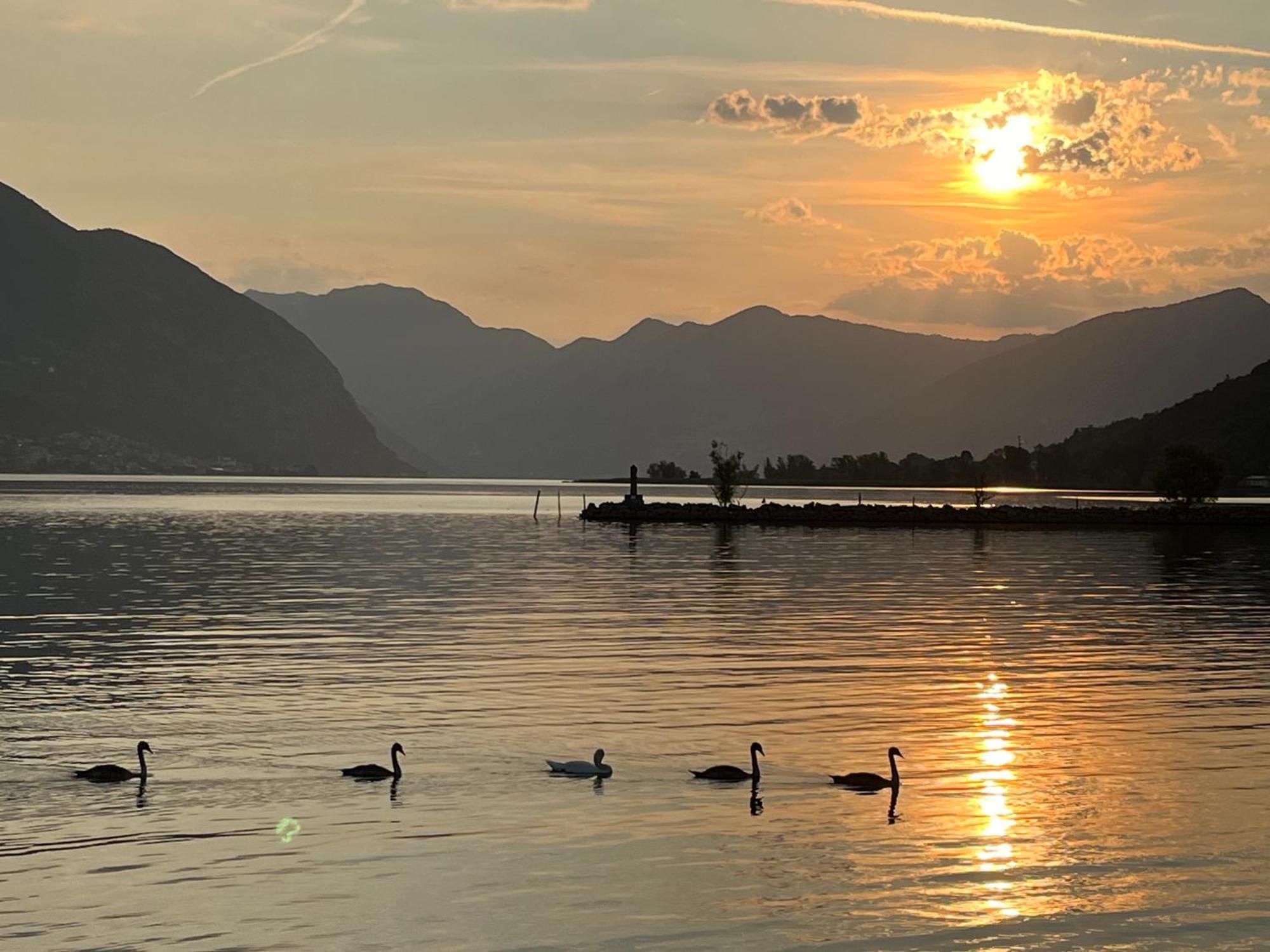 Lake View Terrace Paratico Zewnętrze zdjęcie